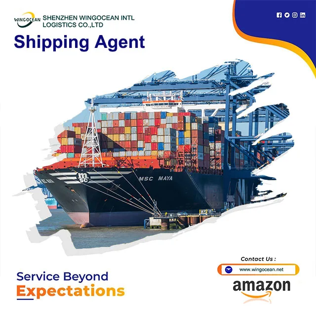 Cheapest logistics agent shipping FBA Door to Door logistics service LCL shipping agent from china to South Africa
