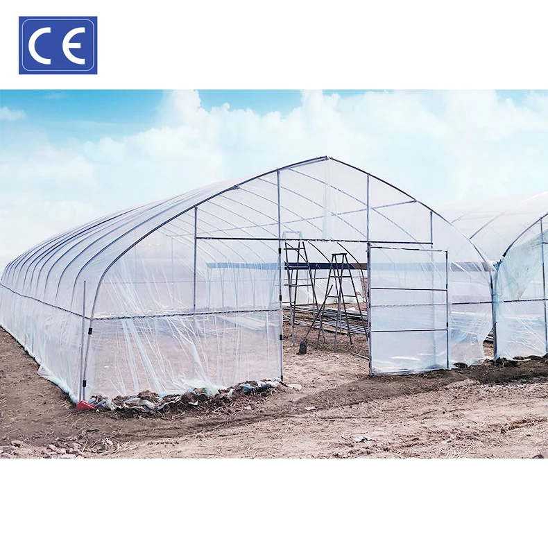 Крупногабаритная сельскохозяйственная теплица 50 м 30 20