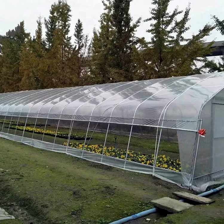 
Single-span plastic shed tunnel green house other greenhouses 