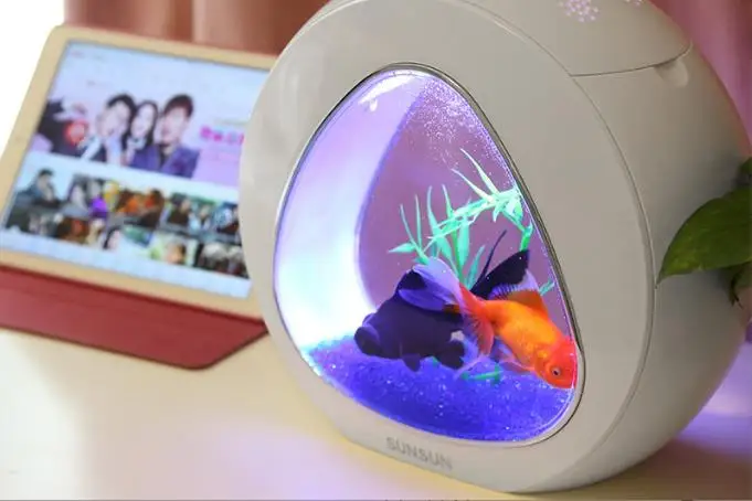 SUNSUN Aquarium Creative Gold Fish Tank With Filter System Mini Desktop Fish Tank Aquarium Decoration Fish Tank Aquarium