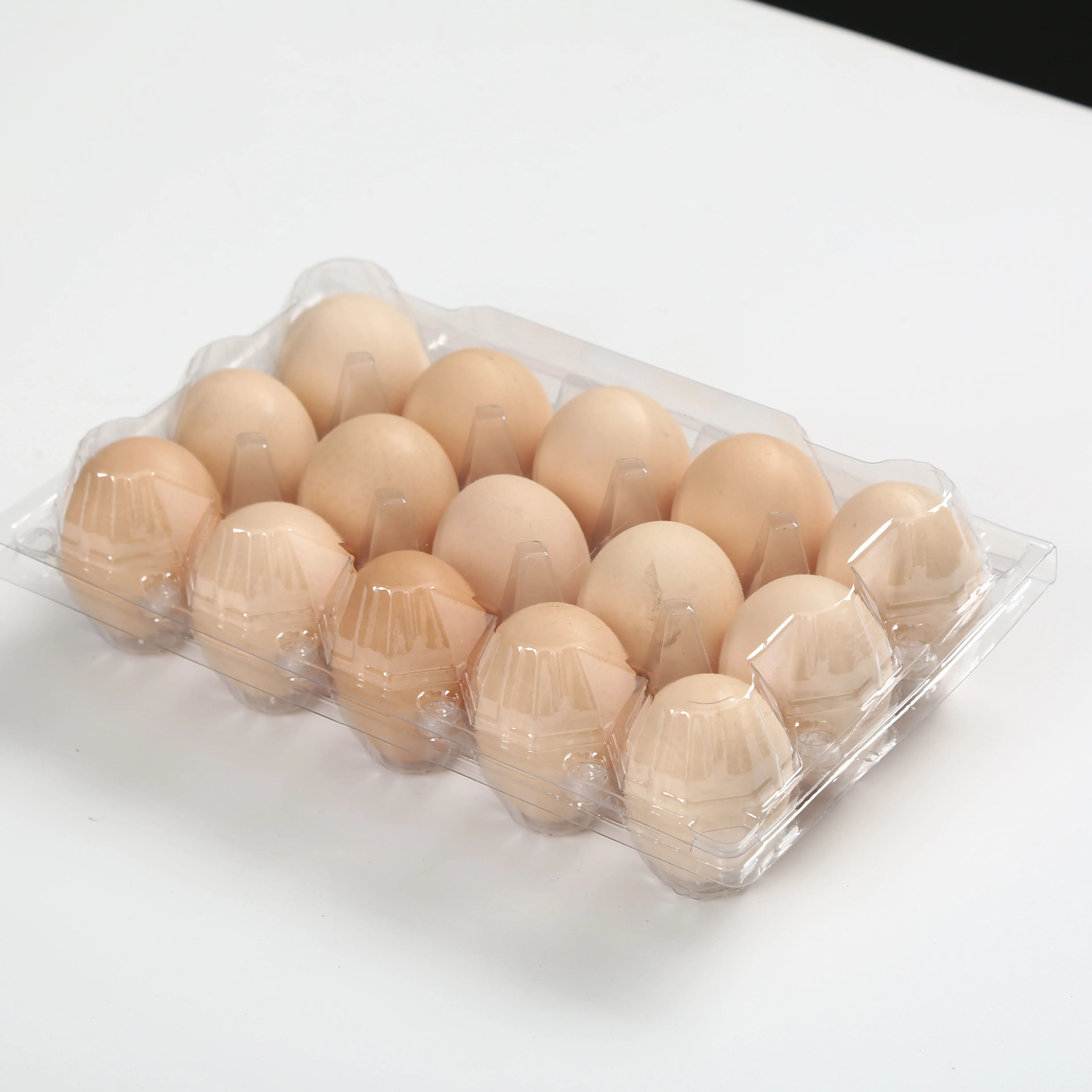 
PET hatching plastic quail egg tray wholesale for eggs 