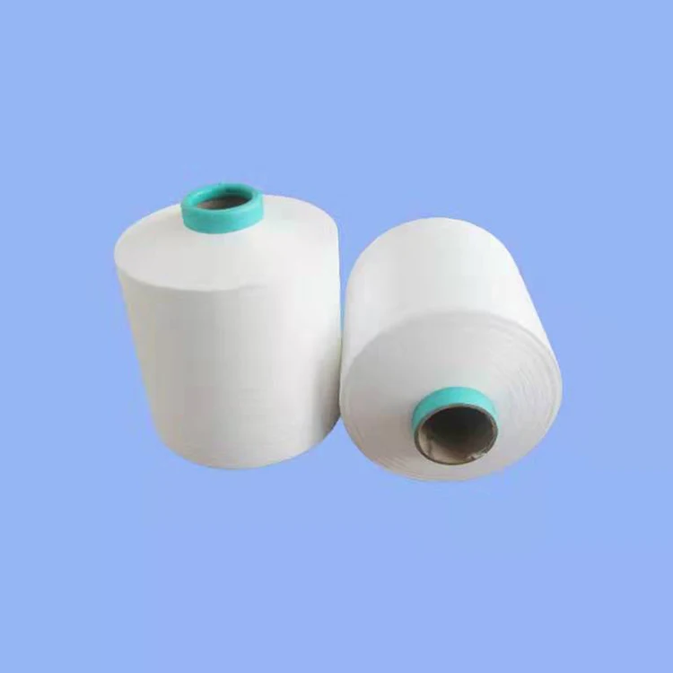 High quality Nylon Yarn  White 100D/40F HOY Nylon Yarn