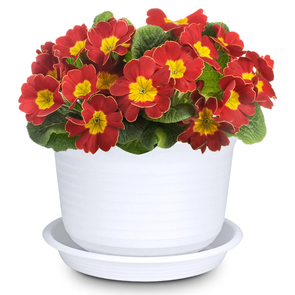 2021 предпочтительные высококачественные цветочные горшки и горшки, цветочные горшки, декоративные технологии, пластиковый цветочный горшок