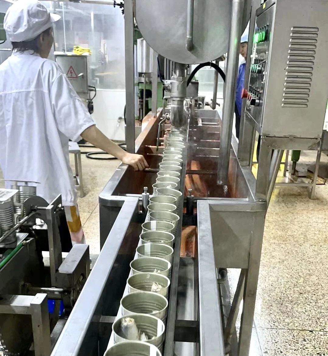 
Best quality canned sardines fish from morocco in vegetable oil 125g 