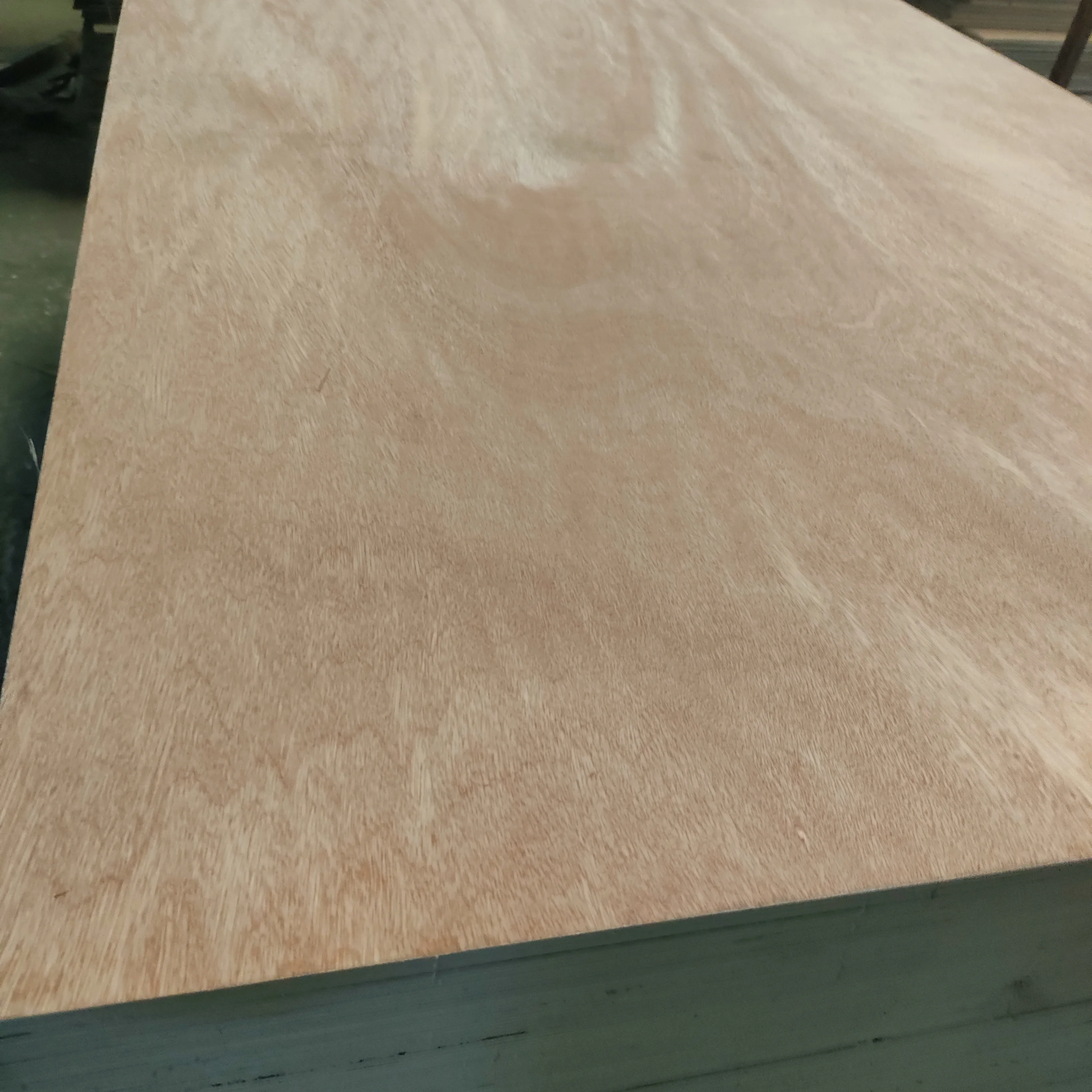 Linyi high quality 3-30mm E0/Phenolic glue full birch plywood manufacturer