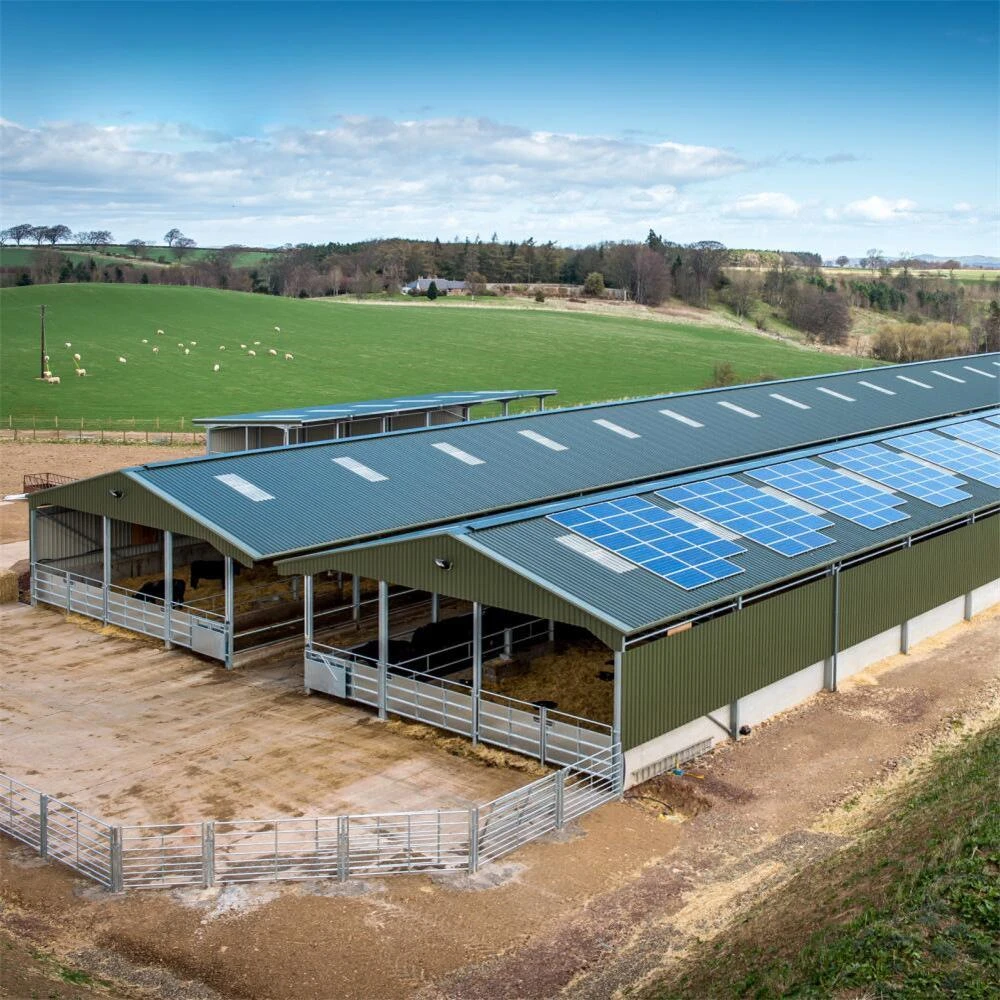 Steel Structure Hot Kits For Sale Prefabricated Drawing Steel Structure Building Horse Storage Shed Barn