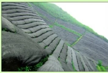 3A USDA EU Organic Matcha Carton Packing 10KG Bulk Sale Japanese Style Green Tea Powder Fine Powder