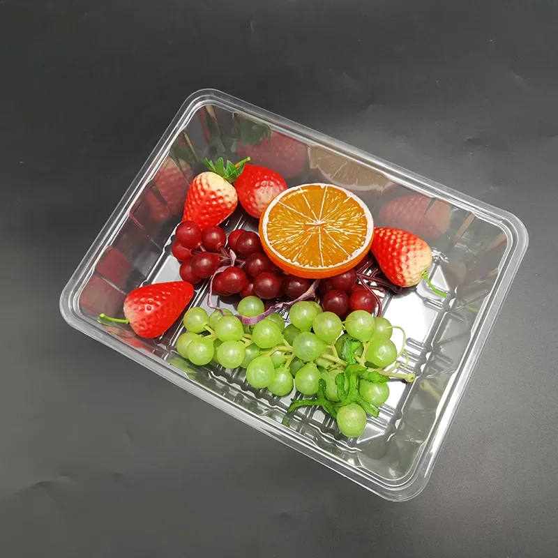 XIEFA Rectangular blister PET plastic transparent fruit and vegetable salad food container tray