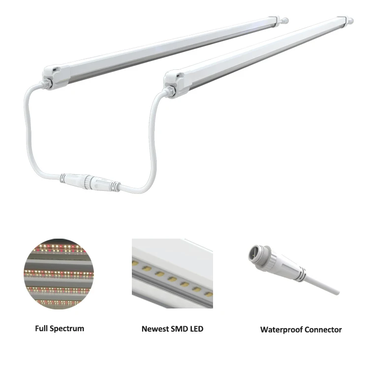 T8 LED Grow Light Clone vertical racks strips 4ft 20W vegetables grow lamp microgreen nft supplementary Led T8 tube grow lights