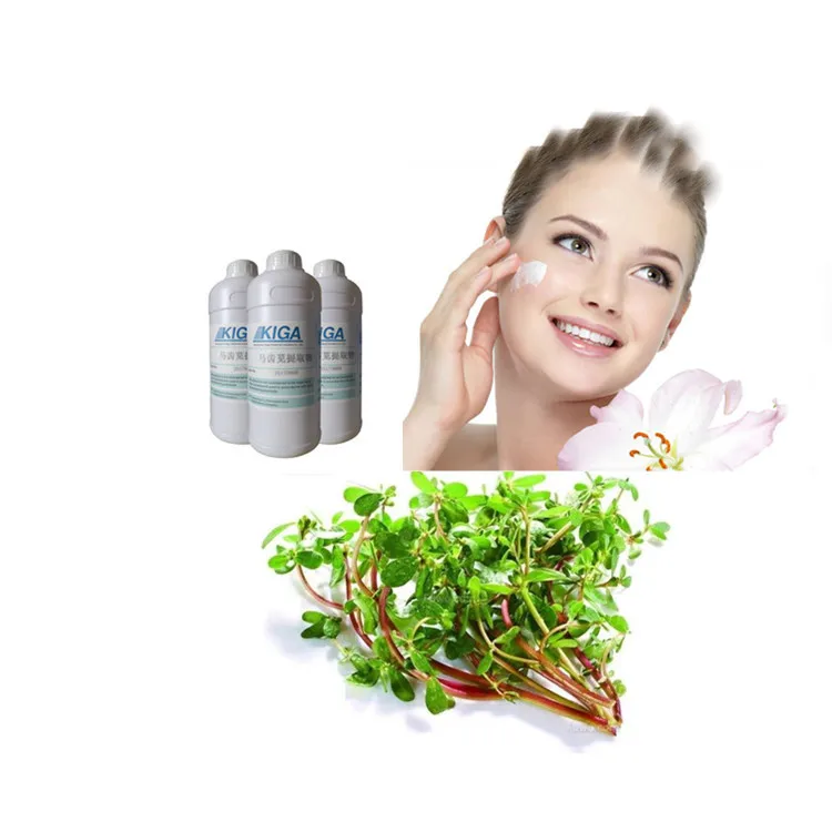 Nature Purslane seeds extract portulaca oleracea powder