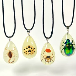 real insects necklace pendant for boys  Factory supply  resin jewelry  glow in the dark pendant