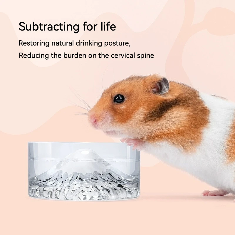 The Latest Customisable Multi-functional Hamster Water Bottle Made Of Eco-friendly Glass