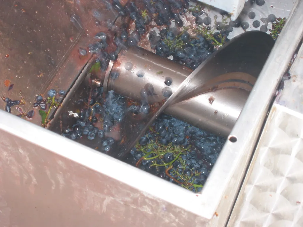 IL CILIEGIO Wine Alcoholic Beverage High Quality Artisan DOCG Chianti Colli Senesi Wine from Tuscany