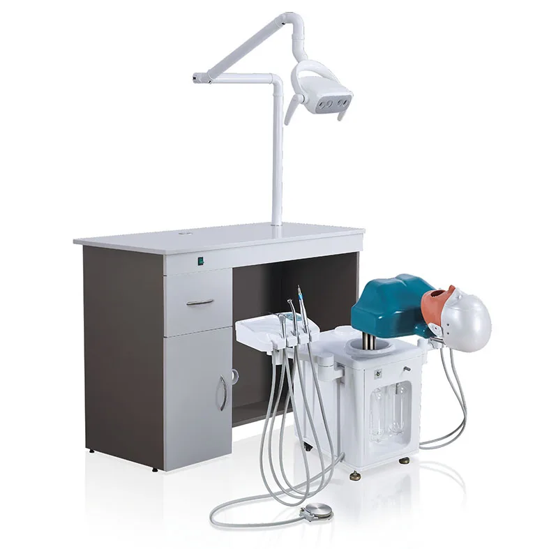 Medical dental training simulator dentistry mannequin head simulators for education