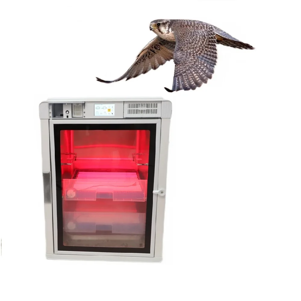 Mini Ostrich Chicks Bird Pet Brooders Parrot Reptile Egg Incubators Basket Online Hatchery Hatch Machine Egg Incubators in UAE