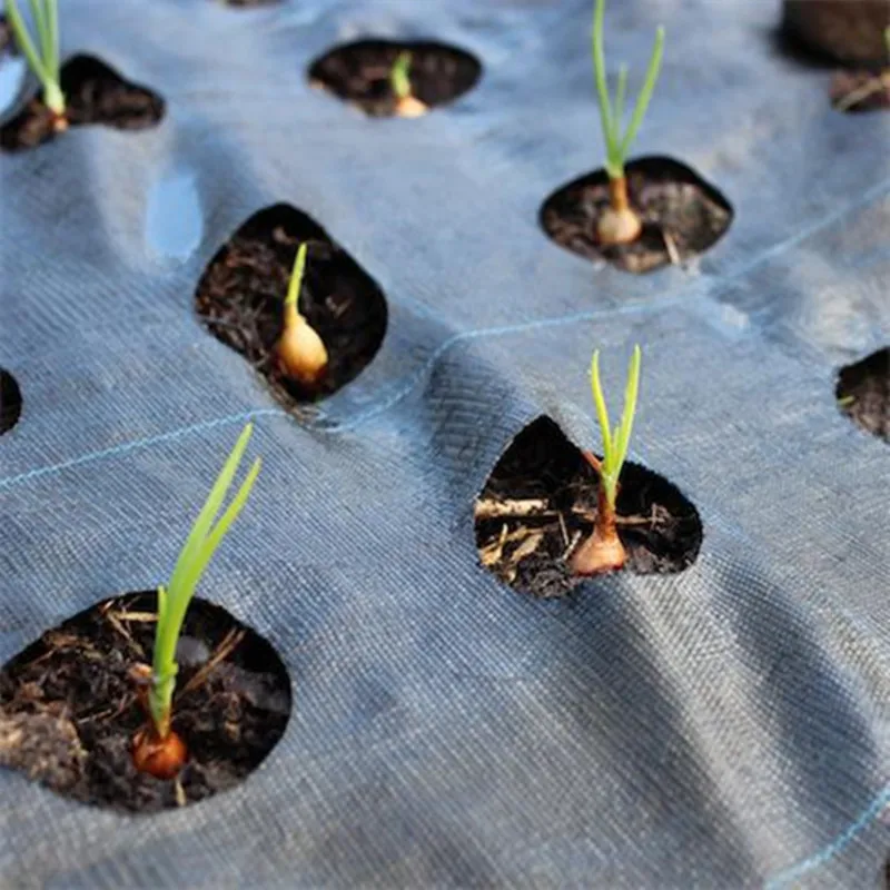 PP Woven Weed Mat with Holes Garden Cover Ground Cover Fabric 1m 2m 3m 4m