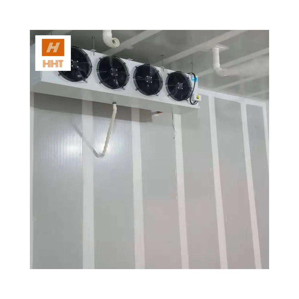 Портативная камера для прогулок frezzer colroom для продажи в Эфиопии