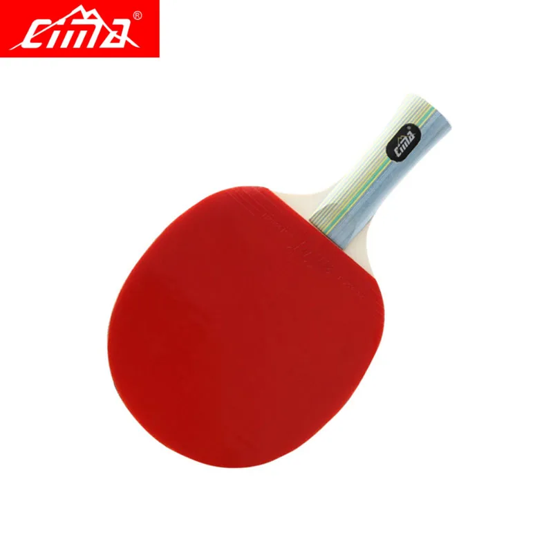  Ping Pon Paddles Table Tennis Rackets 3PCS Balls for All Levels Indoor Outdoor