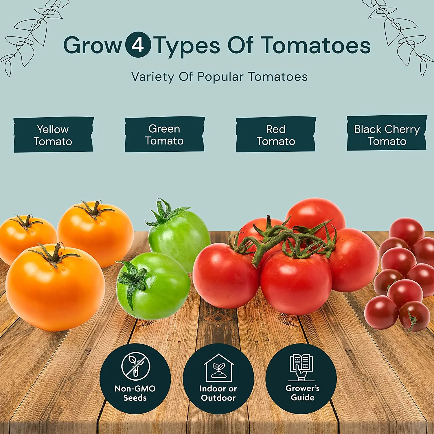 Grow 4 Types of Tomatoes from Decorate Gardening Starter Set For Growing Unusual Tomatoes Tomato Garden Kit