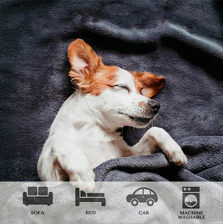 Explosive New Products Waterproof Custom Pet Fleece Blanket Dog Mat Throw With New Design Wholesale