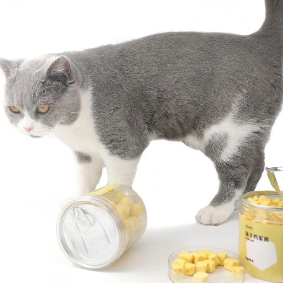 Factory new formula pet food freeze dried easy to store pet food best selling pets food with low MOQ