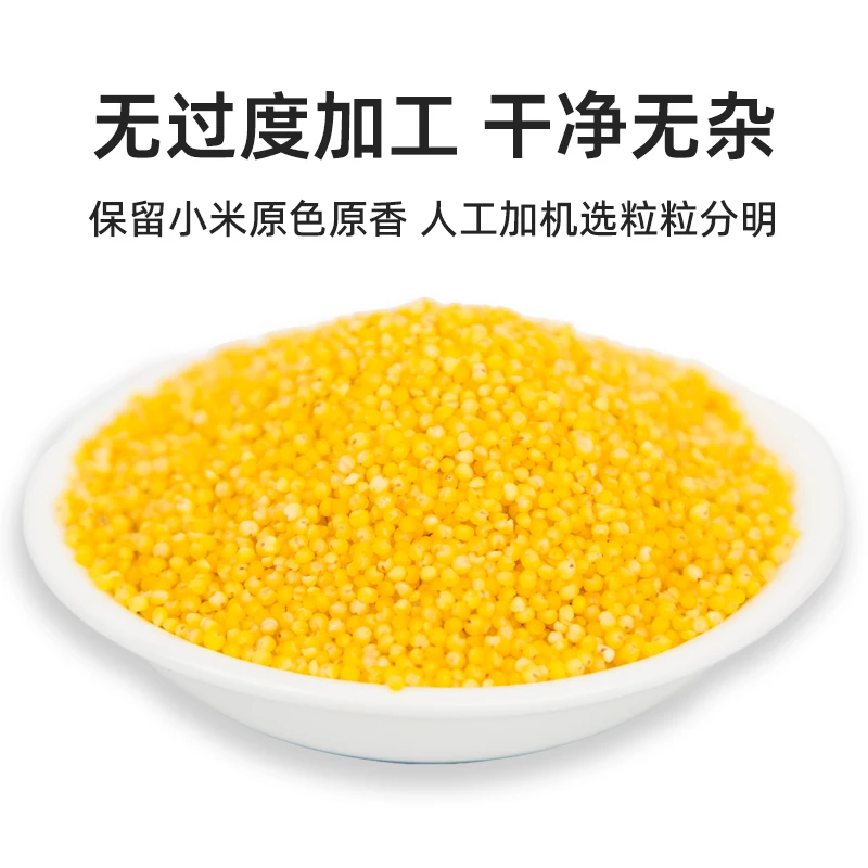 China best price Wholesale exporting grade millet seed yellow millet for sale