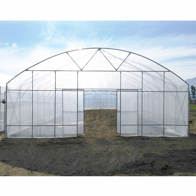 Single Span Polytunnel Tunnel Agricultural Greenhouse