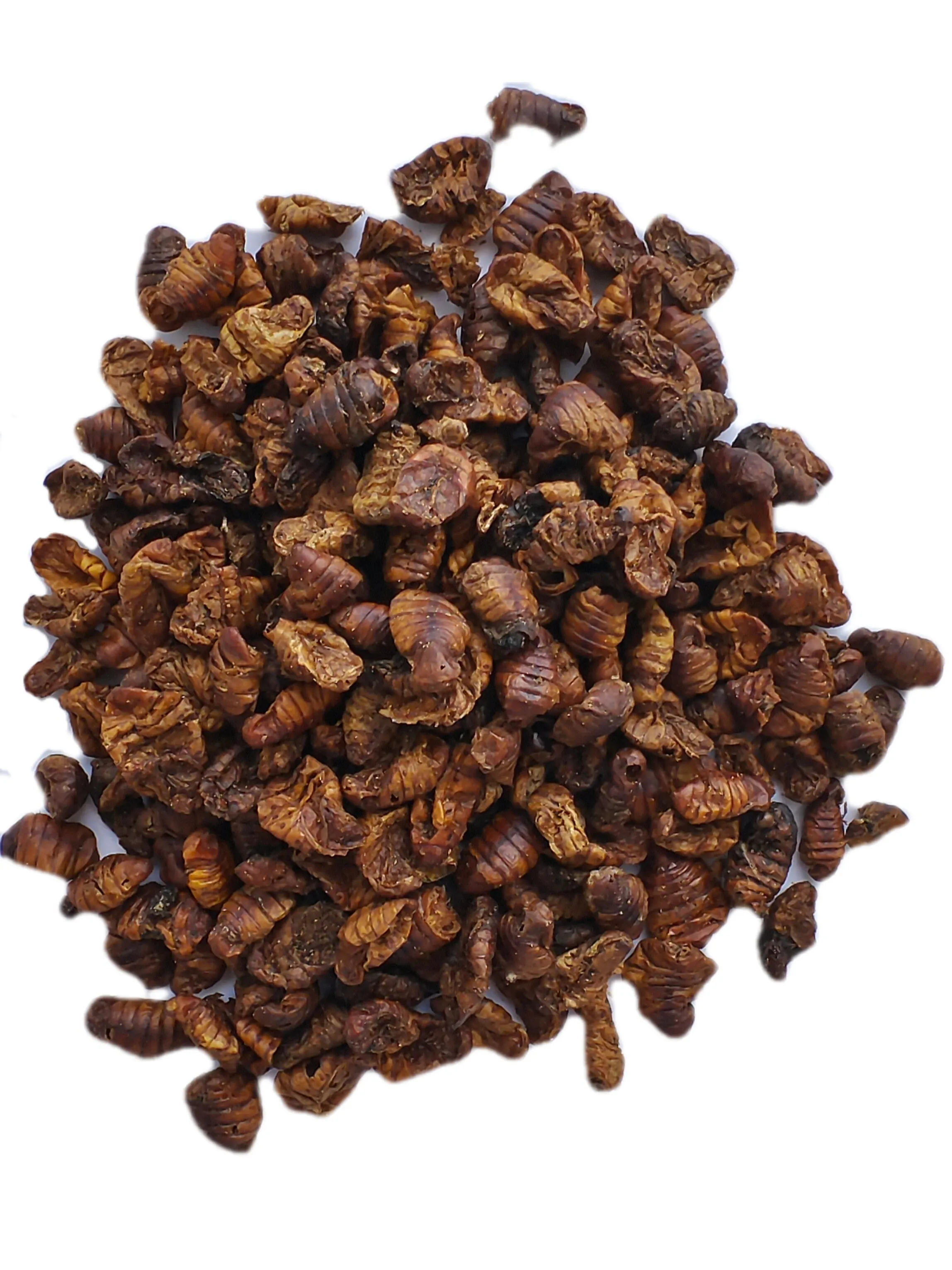 High-Protein Dry Food for Birds and Small Animals Pretty Pet Food with Dried Silkworms Fish Food High mealworms dried