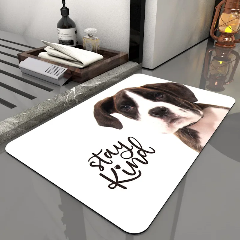 wholesale hot product easy clean fast super water absorbing fast drying  diatomite mat diatom bath mat