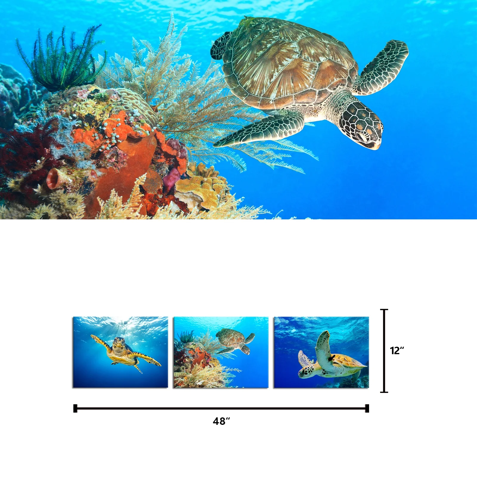 Popular Nordic Ocean Sea Scenery Marine Sea Turtle Seaweed Marine Painting Canvas Print Wall Art