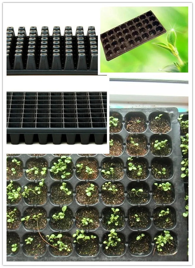 Durability plastic cucumber nursery seeding pots tray for greenhouse