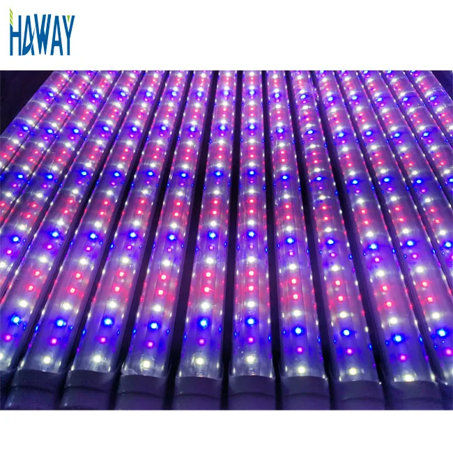 Greenhouse grow light bar T8 T5 plant factory hydroponic led grow tube for vegetables and medical plants