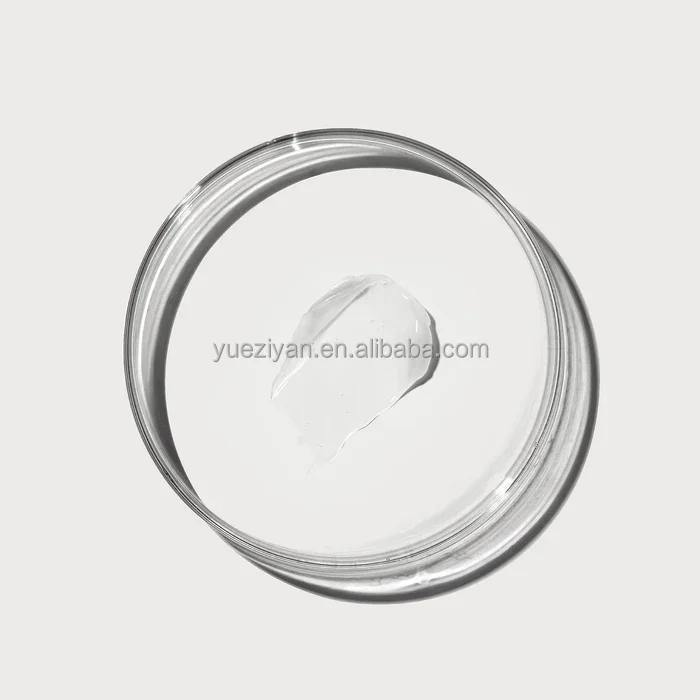 Custom Logo Vegan Lip Care Kit Natural Organic Nourishing Moisturizing Butter Tinted Lip Balm Set