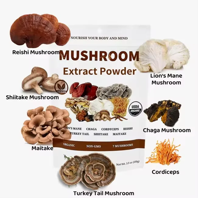 Mushroom Powder Natural Reishi Lions Mane Cordyceps Chaga Maitake Mushroom Extract Blend Powder