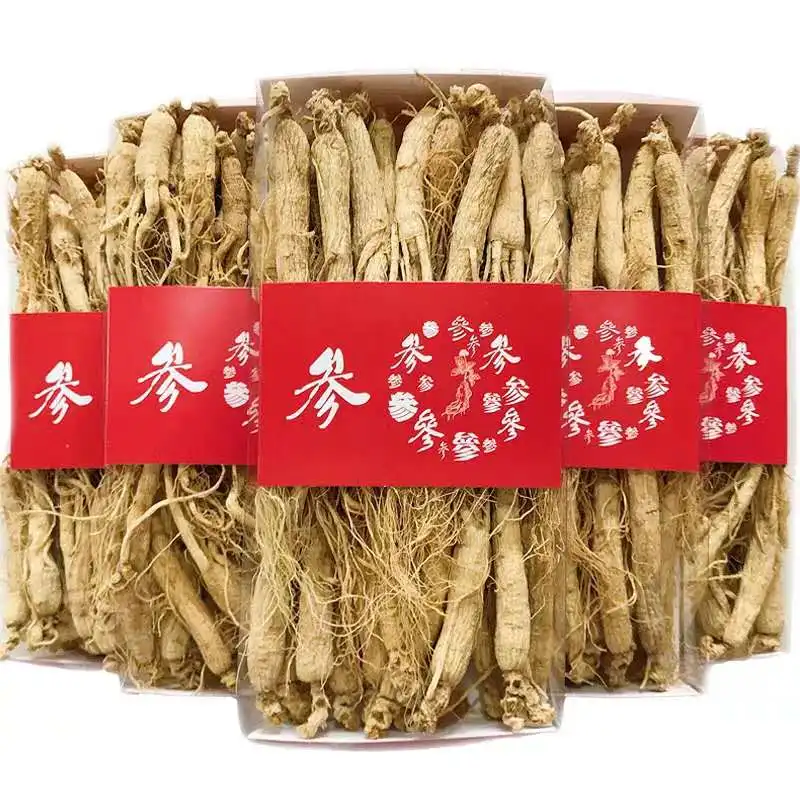 Free Samples Panax Root Korea Honey Red Ginseng Ginseng Korea