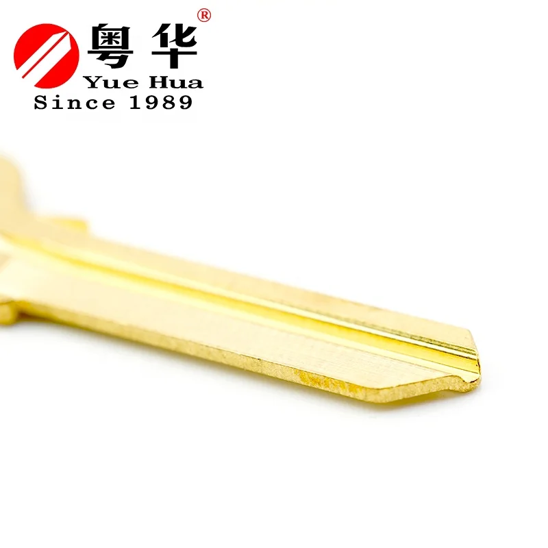 High quality security lock LW5 House Blank Key Blanks For Door Golden Color Door Lock Key Nickel Plated Brass For Key Duplicator