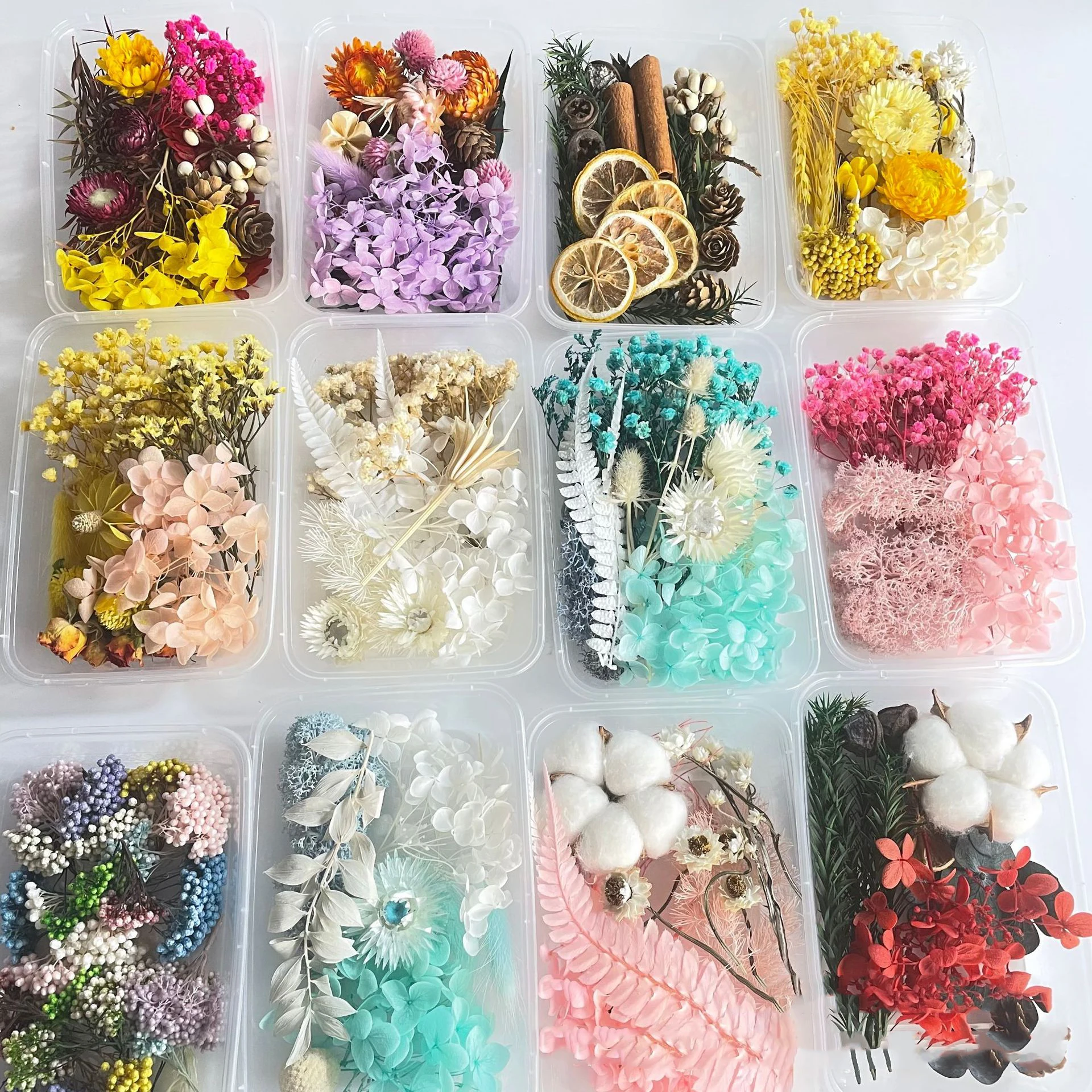 Petals Preserved Flowers for Crafts Candle Soap Resin Wholesale Dried Flowers Flower Arrangement Filling Wedding Decoration T/T