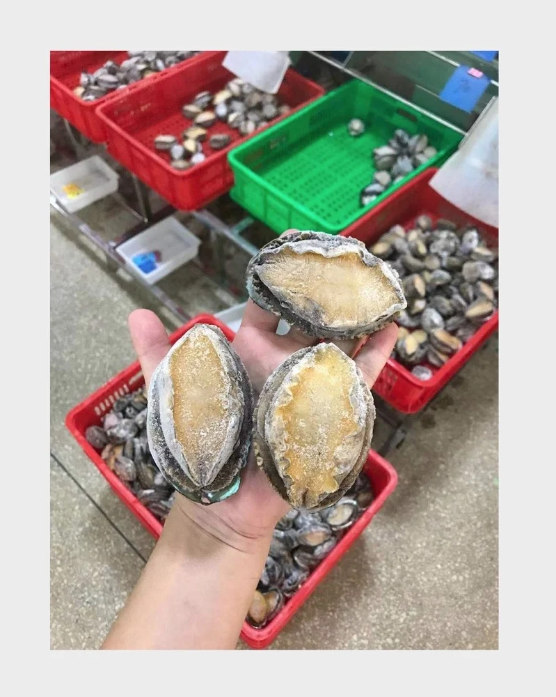 Frozen Cooked Abalone For Sale