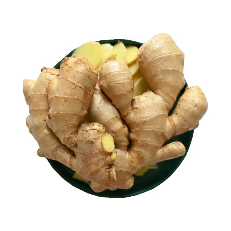 Gourmet Grade Fresh Ginger Premium Quality Spice For Culinary Delights Wholesale Fresh Ginger