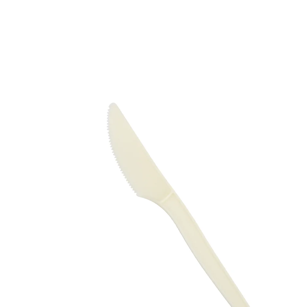 Quanhua Hot Sale Bulk Package Customized Spoon Fork Set Disposable Plastic Cutlery