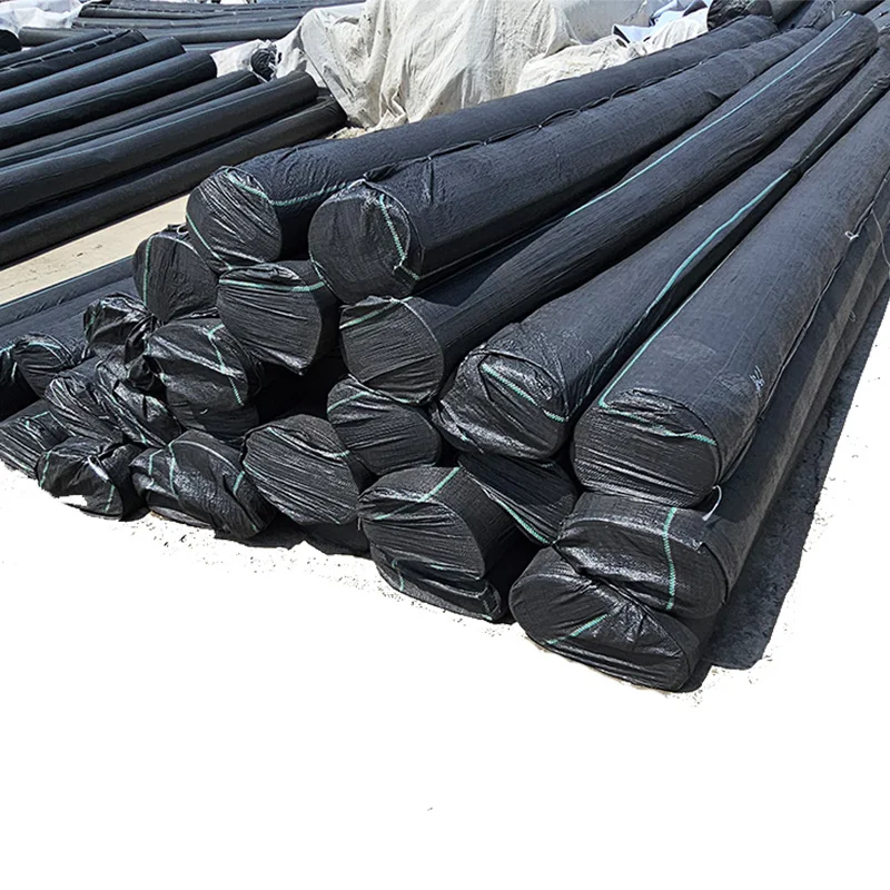 HDPE LLDPE Anti-UV Black Geomembranes Fish Ponds Water Storage Tanks Industrial Modern Design 1mm Plastic Liner LDPE EVA