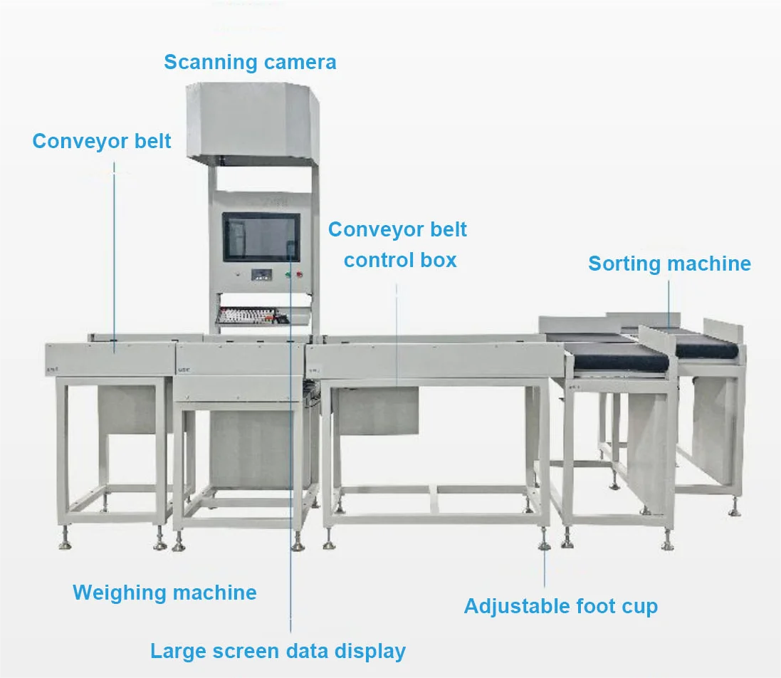 Dws System Cubiscan Parcel Sorting System Dimensioning Weighing Scanning Machine For Warehouse Logistic