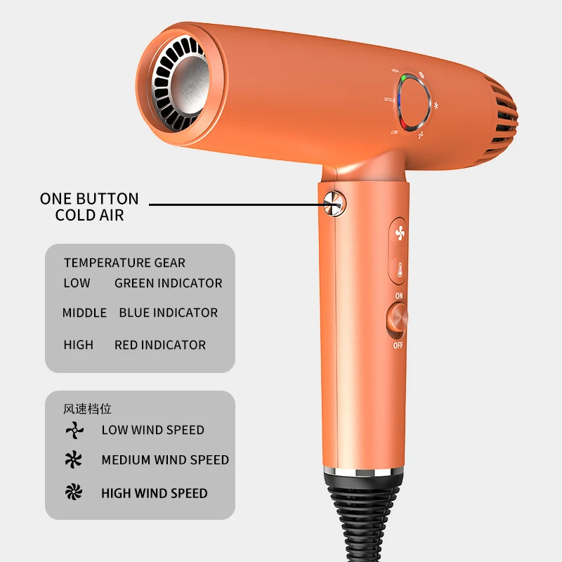 Factory wholesale BLDC Motor Quick Drying Hair dryer Hair Ionic Blow Dryer with diffuser and concentrator