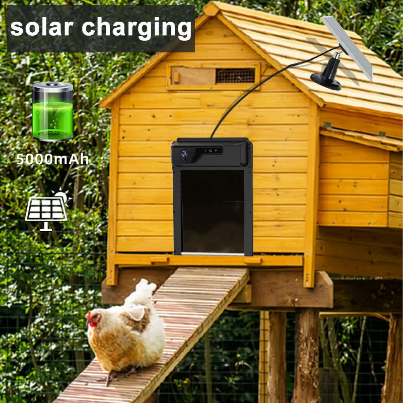 Wholesale And Retail Timer And Night Vision Waterproof IP65 Smart Chicken Coop Door Opener With Camera
