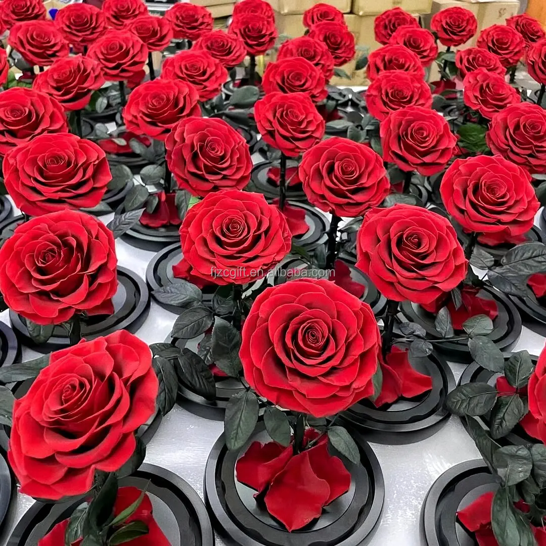 High Quality Eternal Rose Led Flowers Morthers Day Everlasting Preserved Flower Forever Roses In Glass Dome