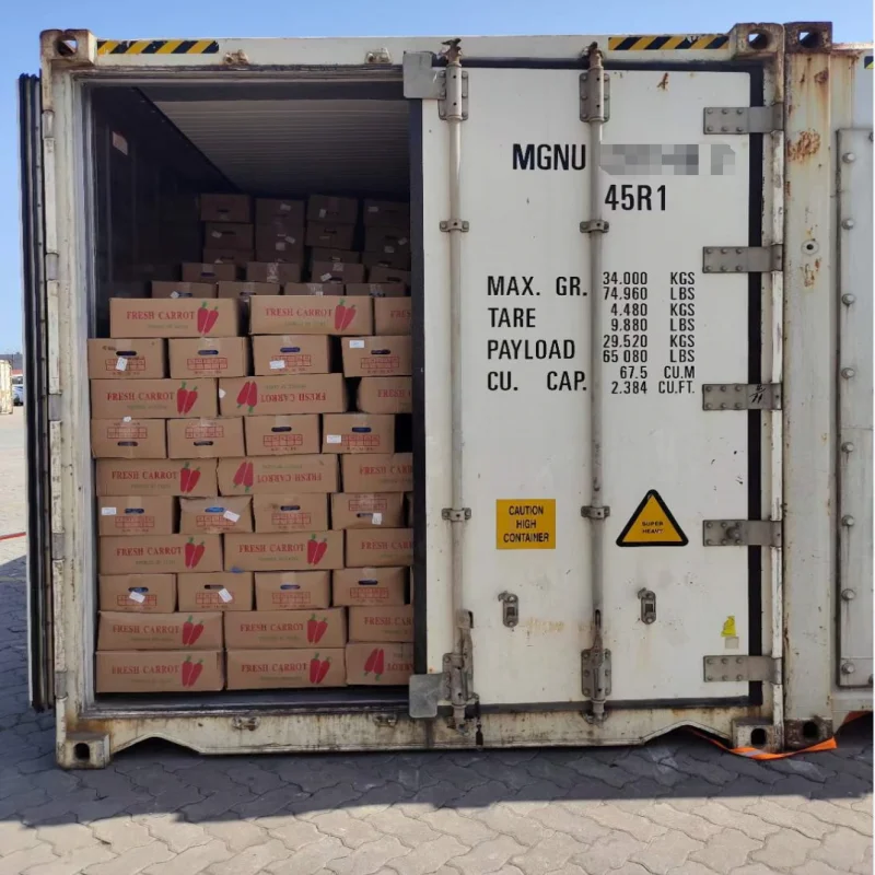 Truck shipping from China logistics services ship to Blagoveshchensk Road transport