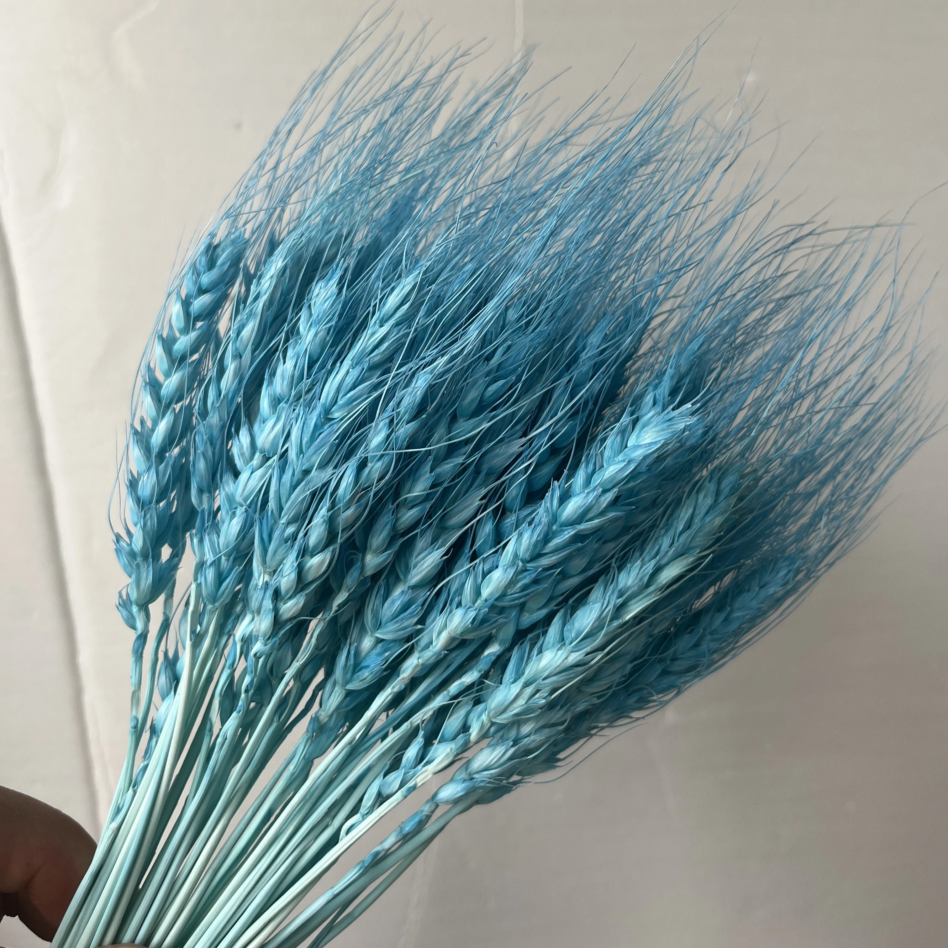 Hot Sale Natural Craft Multi-colored Real Dried Wheat bouquet flowers For Decoration