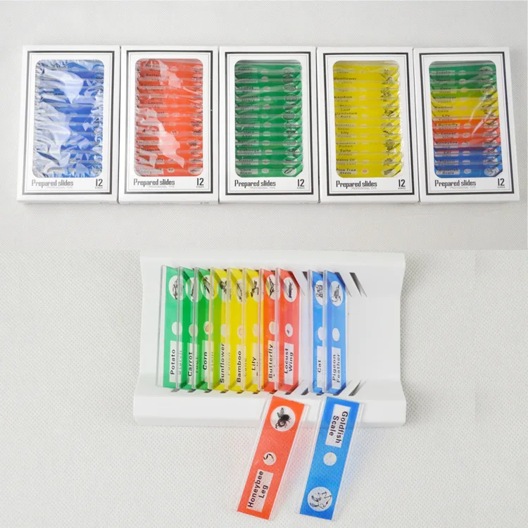 12pcs/set Plastic Microscope Slides Safe Children Slide for Kids Leaning