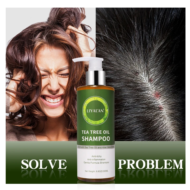 Hair Growth Sulfate Free Shampoo And Conditioner Anti Itchy Biotin Shampoing Tea Tree Oil Hair Shampoo