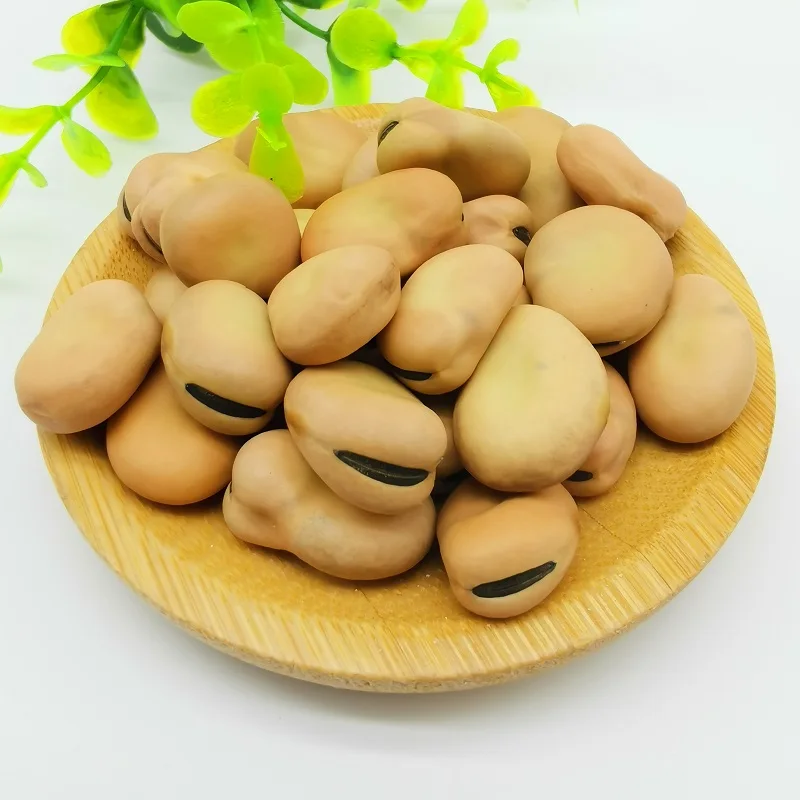 factory directly sell Liangtian broad BEAN  high-protein board  bean high premium quality with competitive price